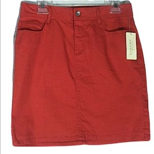 Cute Burnt Orange Jean Skirt